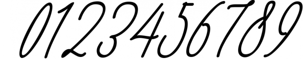 Monica -10 Elegant Font 1 Font OTHER CHARS