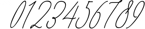 Monica -10 Elegant Font 3 Font OTHER CHARS