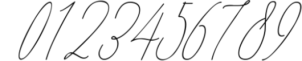 Monica -10 Elegant Font 4 Font OTHER CHARS