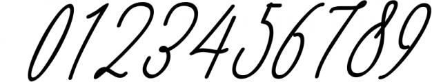 Monica -10 Elegant Font 7 Font OTHER CHARS