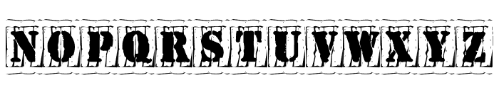 [Moving_Carton] Font LOWERCASE