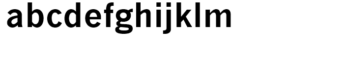 Monotype News Gothic Cyrillic Bold Font LOWERCASE