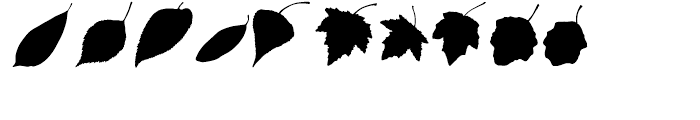 More Leaves DL Font OTHER CHARS