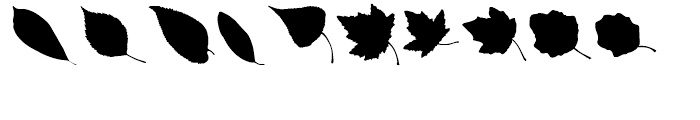 More Leaves UL Font OTHER CHARS