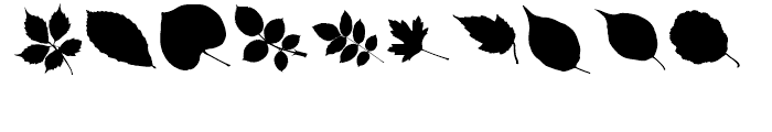 More Leaves UL Font OTHER CHARS