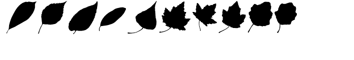 More Leaves UR Font OTHER CHARS