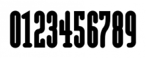 Modula Round Serif Ultra Font OTHER CHARS