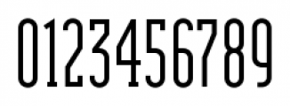 Modula Serif Regular Font OTHER CHARS