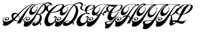 Moister Script Font UPPERCASE