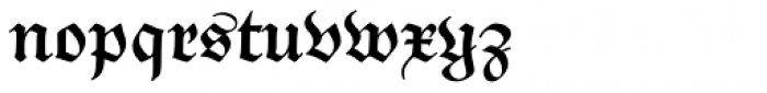 Monarchia Text Bold Font LOWERCASE