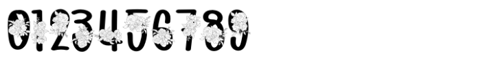 Mono Rose Font OTHER CHARS