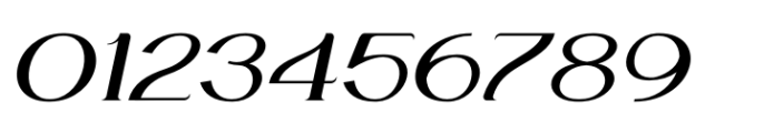 Monstellar Italic Font OTHER CHARS