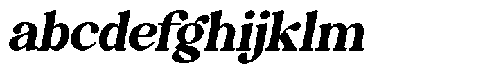 Montalvia Display Bold Expanded Obliq Cont FONT