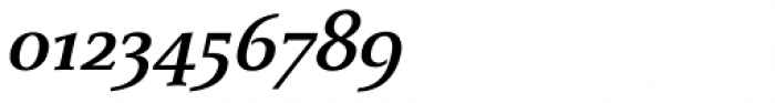 Monterchi Serif Bold Italic Font OTHER CHARS