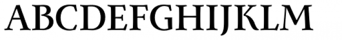 Monterchi Serif Bold Font UPPERCASE
