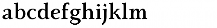 Monterchi Serif Bold Font LOWERCASE