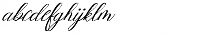 Mottingham Elegant Calligraphy Regular Font LOWERCASE