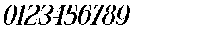 Mowina Italic Font OTHER CHARS