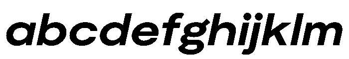 Moderat BoldItalic 94528662 FONT