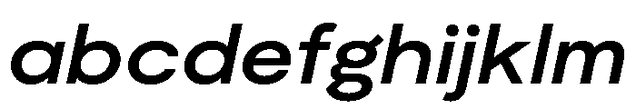 Moderat SemiBoldItalic 1543ca98 FONT