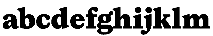 ModeratSerif Black FONT