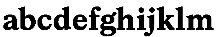 ModeratSerif Bold FONT