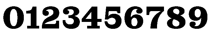 MontaguSlab Bold Instance Font OTHER CHARS