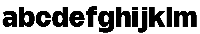 Monument Heavy Extended Alt2 FONT