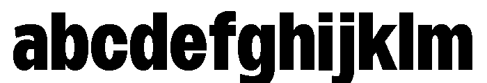 Monument Heavy Narrow Extended 2 FONT
