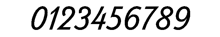 Monument Italic Font OTHER CHARS