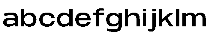 Monument Medium Wide Extended 2 FONT