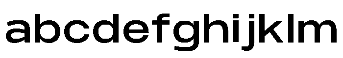 Monument Medium Wide Extended FONT
