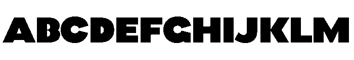 MonumentalGrotesk Web Black Font UPPERCASE
