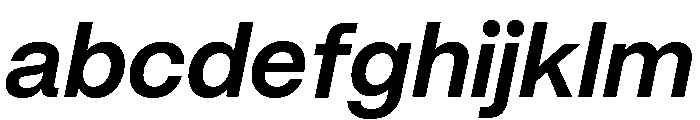 Mori Variable Bold Italic FONT
