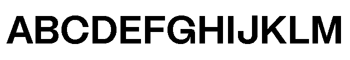 Mori Variable Bold Font UPPERCASE