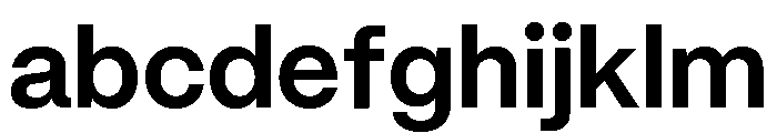 Mori Variable Bold FONT