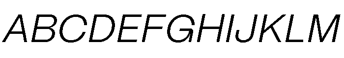 Mori Variable Book Italic Font UPPERCASE