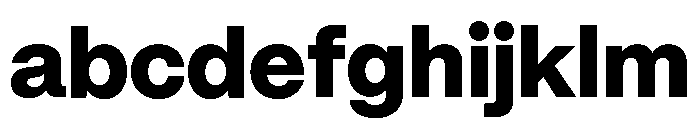 Mori Variable Heavy FONT
