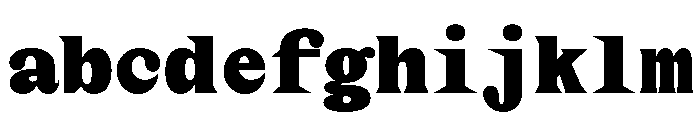 MottiMono Black FONT