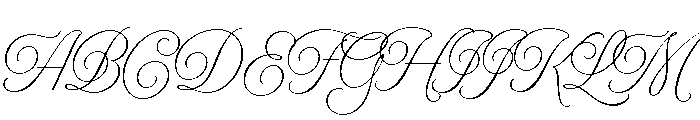 Model Subhead Font UPPERCASE