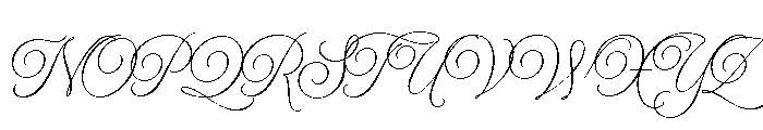 Model Subhead Font UPPERCASE