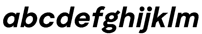 Moderat Bold Italic FONT