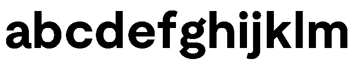 Moderat Bold FONT