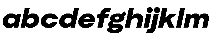 Moderat Extended Black Italic FONT