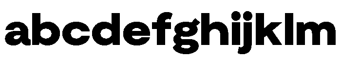 Moderat Extended Black FONT