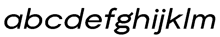 Moderat Extended Book Italic FONT