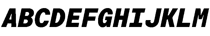 Moderat Mono Black Italic Font UPPERCASE