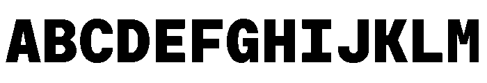Moderat Mono Black Font UPPERCASE