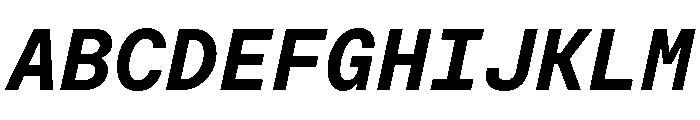 Moderat Mono Bold Italic Font UPPERCASE