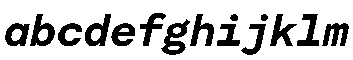 Moderat Mono Bold Italic FONT